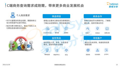中國商業查詢市場分析2021
