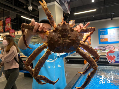 探營(yíng)盒馬佛山店 二線城市首店落地，本地化策略打造鮮活粵式消費(fèi)新體驗(yàn)